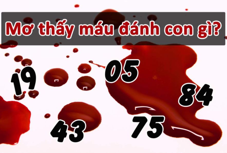 Nam mo thay mau danh so may may man