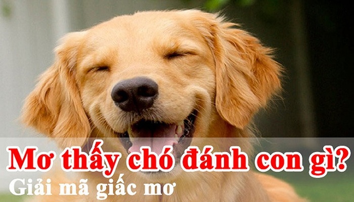 Huong dan cach giai ma lo de 