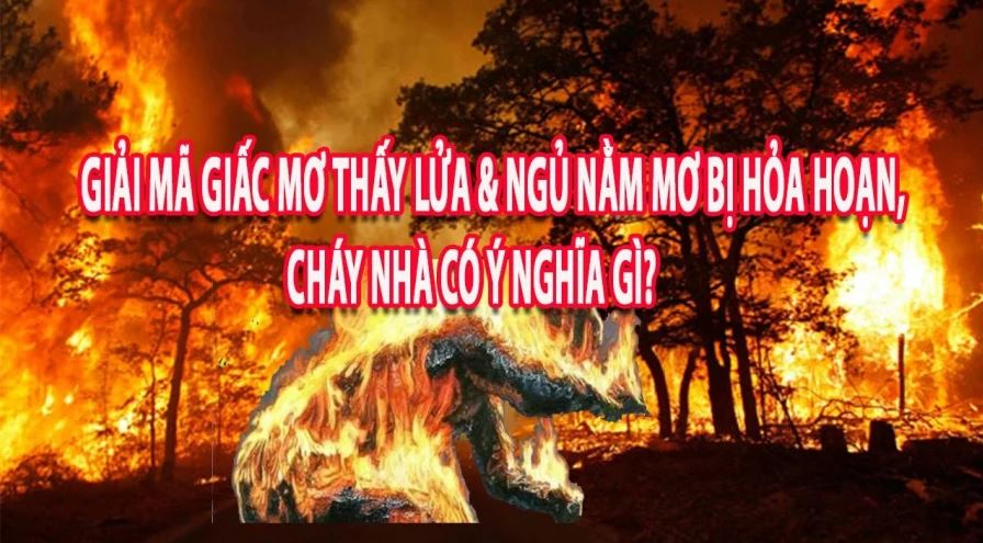 Mo Thay Lua Danh Con Gi hen 