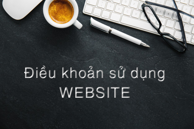 Thong tin quy dinh ve dieu khoan su dung Binhchonnhacai
