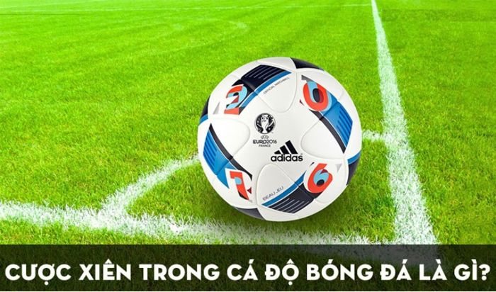 Thong tin ve cuoc xien la gi