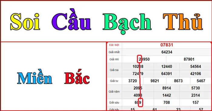 Meo soi cau lo Mien Bac chuan xac