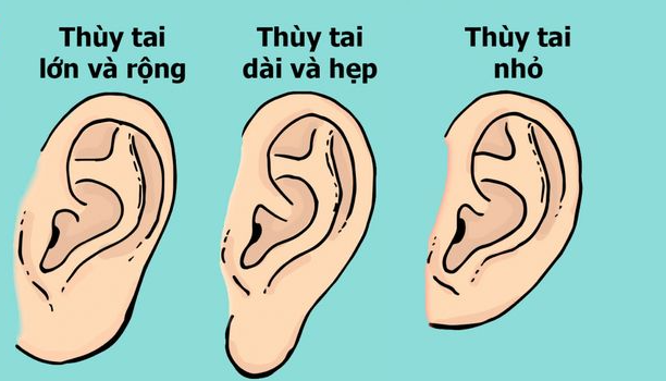 Xem tướng người có 2 tai khác nhau tốt hay xấu? Điềm báo gì?