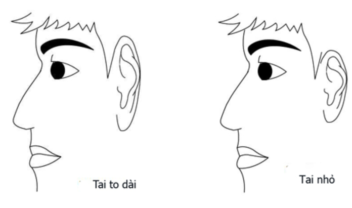 Giai ma xem tuong nguoi co hai tai khac nhau