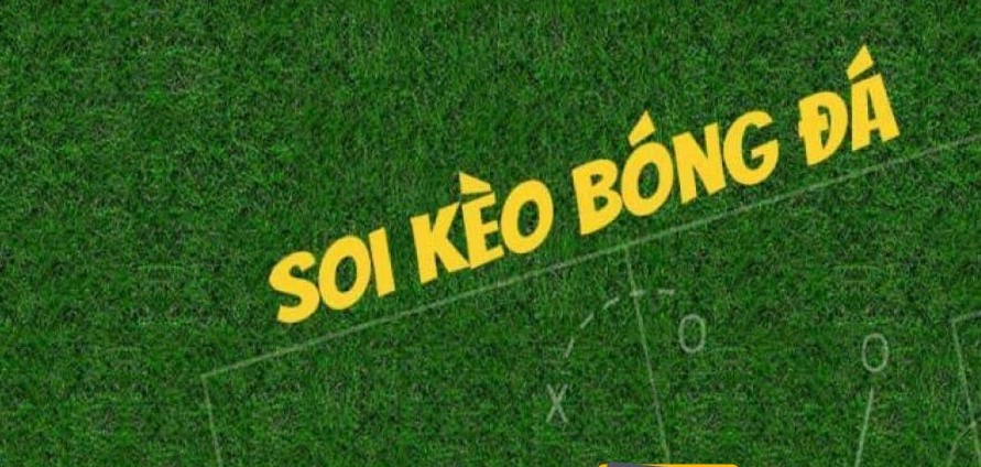 Tong quan soi keo bong da