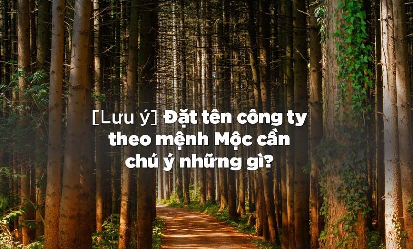 Luu y khi dat ten cong ty theo menh moc